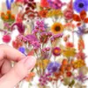 50 piezas de pegatinas de ramo de flores secas estilo vintage, flores eternas artificiales de PET transparente, pegatinas de material floral de lavanda y gypsophila