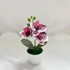 Mini Flor Artificial Orquídea Phalaenopsis Planta en Maceta Decoración Fotografía Planta Verde Bonsái Decoración de Sala de Estar Flor Artificial de Plástico Planta en Maceta