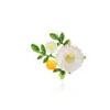 Corsage de Moda Broche Transfronteiriço Broche Borboleta Anti-luz Feminino de Alto Padrão Senso de Alto Padrão Novo Acessórios de Corsage de Nicho