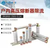 Rn3Rn1-35Kv/0.5A1A2Arxwo-35Kvrw10-35Kv Fusible de Alto Voltaje para Interiores Tipo Limitador de Corriente