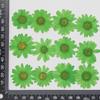 Flor Seca de Crisantemo de Cristal Blanco Gota de Pegamento en Relieve Funda para Teléfono Móvil/Decoración Facial para Uñas Calcomanía DIY Infantil Marco de Fotos Marcador Lámpara de Mesa Material