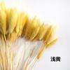 Fábrica atacado coelho cauda grama flor seca buquê de flores secas Natal DIY flor multi-cor opcional 10 ramos