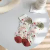 Calcetines de Cristal para Mujer, Seda de Vidrio, Calcetines Cortos Rosas Finos de Tul para Verano, Lindos Calcetines Transparentes de Malla con Encaje