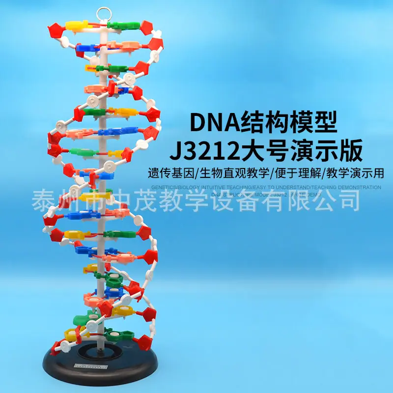 DNA (1).jpg
