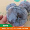 Uma peça de cristal de fogo caqui muda variedade antiga japonês crocante moinho pedra crua caqui macio anão pilha semente planta em vaso