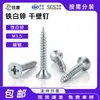 Tornillos para Drywall de Zinc Blanco Hierro, Tornillos para Tablaroca de Acero al Carbono, Tornillos para Drywall Grado 4.8 M3.5, Tornillos Auto-roscantes de Cabeza de Cruz Avellanada para Placa de Yeso