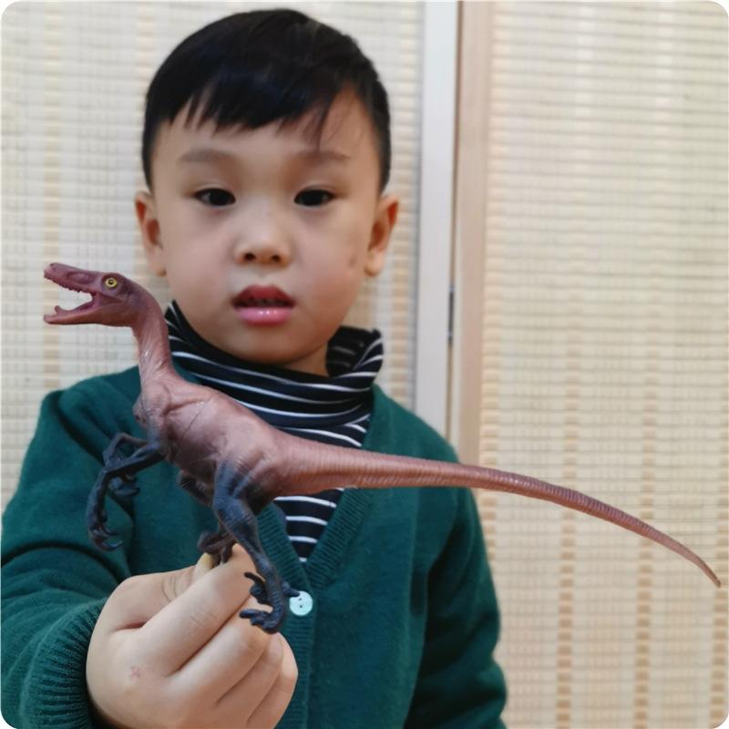 盗伶龙