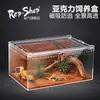 Terrario de acrílico para reptiles, geckos, cangrejos ermitaños, lagartijas, serpientes, ranas cornudas, arañas, caracoles, escarabajos, tanque ecológico