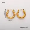 Pendientes Populares Europeos y Americanos de Acero Inoxidable para Mujer, Lujo Accesible Pendientes Elegantes Retro Transfronterizos U Joyería de Acero de Titanio de Gama Alta