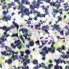 Paquete de material de diamantes planos de perlas de lazo de flor de resina de joyería de uñas mixtas violetas nuevas al por mayor