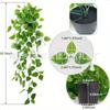 Rábano Verde Colgante de Pared Hoja de Uva Ratán Colgante de Pared Boda Techo Decoración de Interiores Enredadera Verde Plástico Hoja Verde Artificial Colgante de Pared