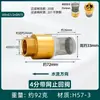 Válvula de pé para bomba d'água totalmente em cobre, bomba d'água com filtro e válvula de retenção, válvula de retenção para bomba de combustível de 1/2 polegada e 3/4 de polegada, válvula de retenção de fundo de poço