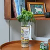 Vaso de Vidro de Palha Natural Transfronteiriço Tecido à Mão Conjunto de Vidro para Escritório Hotel Copo para Água Fria Copo para Bebida