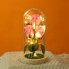 Nuevo ramo eterno transfronterizo con cubierta de vidrio, regalo creativo para ceremonia romántica, luz LED, decoración de escritorio, micro paisaje