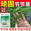 Herbicida Molecular, Pluma Muwei, Medicina para Pudrición de Raíz de Hierba, Bicarbonato de Sodio Herbicida Matador Agrícola