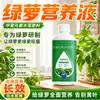 Solução nutritiva e fertilizante especiais para hera verde, adequados para plantas hidropônicas e heras verdes em vasos, fertilizante líquido de grau comercial para flores, uso doméstico, previne folhas amareladas