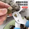 Item Quente do Tiktok Ferramenta de Corte de Parafusos para Caracóis, Máquina de Corte de Cauda de Caracol Antiderrapante, Removedor de Cauda de Caracol de Aço Inoxidável