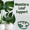Vários formatos de suportes para plantas Suportes para plantas em formato de flor Galhos de bambu com formato de casco de tartaruga Crescimento de plantas em ambientes internos e externos