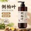 Shampoo Anti-Queda Certificado Folha de Cipreste Anti-Queda Fortalecedor Folha de Cipreste Gengibre Efeito Duplo Anti-Queda Raízes Fortes Cabelo Saudável Para Homens e Mulheres