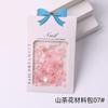 Arte de Unha Camélia Azul Nebuloso Estilo Japonês Rosa Misturado Unhas Postiças Decorações de Unha Contas de Aço Strass Borboleta 3D Kit de Materiais