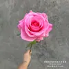 Rosa jade flor artificial rosa de casamento flor falsa decoração de janela de salão de casamento flor de seda arranjo de flores cascata de flores flor