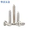 Tornillos Autorroscantes de Cabeza Redonda Cruzada Niquelados de Hierro Tornillos de Cabeza Plana con Cola Puntiaguda M1/M1.2/M1.4/M1.5/M1.7/M2