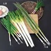 Legumes de Simulação Salsão Cebolinha Brotos de Alho Salsão Chinês Legumes Verdes Modelos Decoração de Gabinete Sala de Modelos Enfeites Adereços para Fotografia