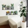 Estante para Plantas Artificiales Estilo Ins Fun-F1156 Maceta Decoración de Pared para Dormitorio Estudio Hogar Pegatina de Pared