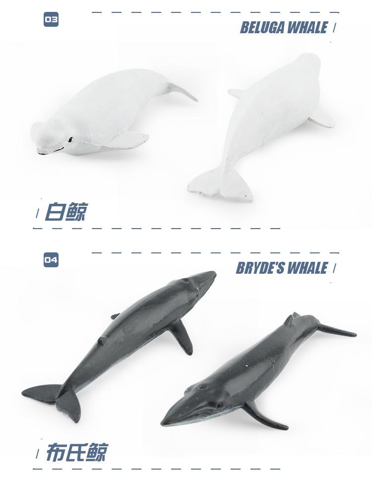 详情图片_097.jpg