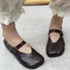 Sapatos Femininos Estilo Retrô 2026 Novo Modelo Sapatos Mary Jane, Sapatos de Vovó Quadrados Planos Elegantes e Modernos, Sapatos de Salto Baixo com Bico Quadrado