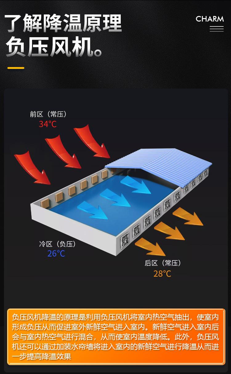 详情_16.jpg