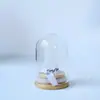 Árvore de Cristal Natural Transfronteiriça, Flor Eterna, Cobertura de Vidro, Árvore da Fortuna de Cristal, Pilar de Cristal, Aglomerado de Cristal, Enfeites de Decoração para Casa