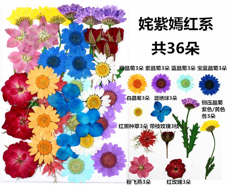 姹紫嫣红