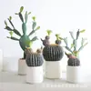 Ornamento Decorativo de Cacto Simulada Cactus de Interior Planta Verde Tropical do Deserto Paisagismo Vitrine Floreira Exibição