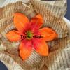 Flor Artificial diy Caja de Dulces Regalo de Acompañamiento alta calidad Tela de Boda Campo Diamante Loto Alambre de Hierro Cabeza de Loto Decoración de Boda