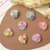 Atmósfera de Primavera y Verano Mar de Flores Cuentas de Arroz Racimo de Flores de Hortensia DIY Pendientes de Chica Dopamina Pinza Lateral para Oreja Accesorios de Flor para Zapatos
