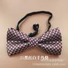 Entrega de Fábrica Rayas de Poliéster Puntos Polares Estudiante Varón Niños Pequeños Corbata de Moño Corbata Corbata Cuello de Moño Secciones Accesorios