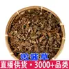 Venta al por mayor de Baicaijiangcao, Beibaijiang, Nanbaijiang, Su Baishang, Huanghuabaishang y Verduras Azules. Gran Cantidad Disponible