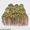 Venta al por mayor del fabricante Plumas Pequeñas de Faisán DIY Tocado de Plumas de Faisán Broche Sombrero Zapatos Artesanías Materiales de Decoración