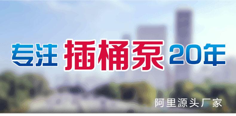 专注插桶泵20年
