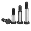 Tornillos para Agujero Roscado M6M8M10M12, Tornillos para Agujero Roscado Grado 8.8, Pernos para Agujero Roscado Gb27, Pavonados