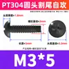 Tornillo de corte de cabeza redonda de acero inoxidable 304 con zinc negro PT M2/M3/M4 cabeza plana Phillips tornillo autorroscante