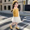 Vestido para niña, nueva colección otoño 2026, abrigo suéter tejido para niños, conjunto de vestido de princesa, atuendo de otoño para bebé, vestido de manga larga