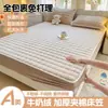 Sábana acolchada de terciopelo de leche de alta densidad, grado A, engrosada para invierno, sábana de cobertura completa, protector de colchón, apta para dormitorios, colcha de felpa