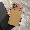Cor Sólida Amigável à Pele Adequado para Lente de Vidro Apple 16Promax Case de Celular Phone15 14/13 Silicone Macio Case 17
