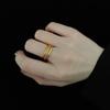 Anillo para Dedo Índice Frosted Sansheng III para Mujer Acero de Titanio Paquete Dorado Anillo Pequeño Vegetariano Ins Estilo Frío Celebridad de Internet Moda Personalidad Tendencia