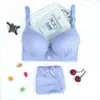 Conjunto de Sujetador Push-Up Pequeño de Encaje a Cuadros Fino Anti-Flacidez para Estudiantes de Preparatoria y Universidad