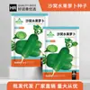 Atacado de Fábrica Sementes de Rabanete Fruta Shawo Tianjin Pele Verde Polpa Verde Doce Crocante Sementes de Rabanete Açúcar de Rocha Sementes de Rabanete Verde