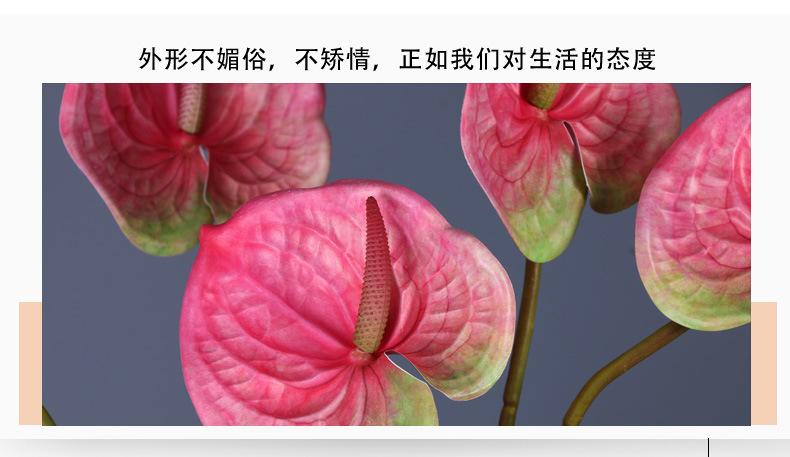 详情页_02