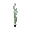 Cactus Pilares de Dragón Simulados Cactus Parásito Planta del Desierto Marroquí Decoración Suave para Paisajismo Modelo Decoración de Proyectos
